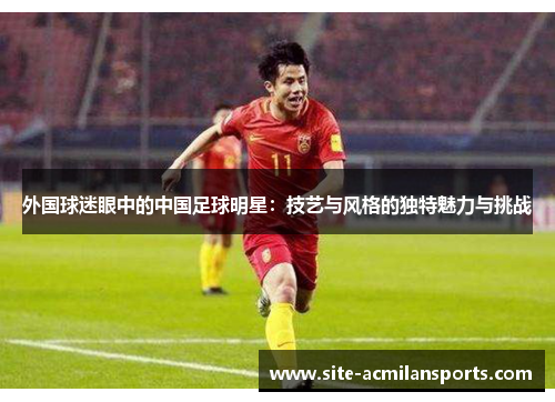 外国球迷眼中的中国足球明星：技艺与风格的独特魅力与挑战