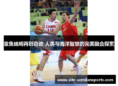 章鱼姚明再创奇迹 人类与海洋智慧的完美融合探索